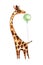 Cute watercolor giraffe, isolated illustration good for baby clothes print, children greeting card