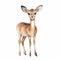 Cute Watercolor Illustration Of A Happy Baby Deer On White Background