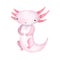 Cute watercolor kawaii axolotl isolated on white