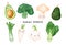 Cute Watercolor Kawaii Vegetable Character Collection