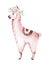 Cute watercolor llama, alpaca illustration isolated on white. Llama print ethnic blanket, flowers wreath, floral bouquet