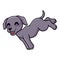 Cute weimaraner dog cartoon jumping