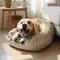 A cute and well-groomed dog looks at the camera. Pet on a soft pontoon. Pet bed for sleeping.