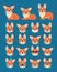 Cute Welsh Corgi constructor. Vector illustration of Corgi dog in different poses and its head shows various emotions in