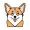 Cute welsh corgi dog