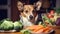 Cute welsh corgi dog with fresh vegetables in the kitchen