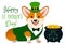 Cute Welsh corgi dog in St. Patrick`s Day costume: green top hat, vest and bow tie, pot of gold filled with coins, with shamrock