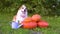 Cute Welsh Corgi dog in a straw hat, sitting next pile of different sized orange pumpkins on green grass on a background of trees