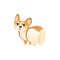 Cute Welsh corgi puppy drawing in funny pose showing his butt.