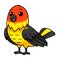 Cute western tanager bird cartoon