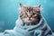 Cute wet tabby kitten wrapped in a towel on blue background, copy space. Washing pets. AI generated