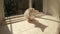 Cute wet white kitten is carefully licking itself shadow in rays of sun on window reflections in glass country house