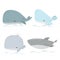 Cute whales. Marine life animals, underwater blue whales.