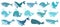 Cute whales. Marine life animals, underwater blue whales, childrens icons for stickers, baby shower, books. Simple