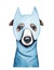 Cute whippet dog wearing super hero costume with light blue eye mask and triangular cat ears.