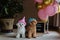 Cute white Bichon Frise and Teacup Poodle dogs celebrating birthday at home. Domestic Pet party with hot air balloons