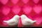 Cute white birds kissing on pink and red hearts background