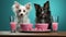 Cute white and black dogs enjoying tasty trendy pink treats - illustrated concept of Pets Day