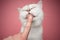 cute white british shorthair cat licking finger