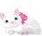 Cute white cat