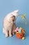 Cute white cat in hat with bunny ears looking at Easter basket with colorful eggs
