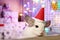 Cute white chinchilla with Santa Claus red hat on a background of Christmas decorations and Christmas lights.