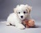 Cute white fluffy puppy playing with pet toy. Generative AI