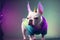 Cute white French bulldog in neon light with a golden unicorn horn