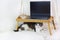 A cute white gray adult cat lies under a portable wooden coffee table with a blue open laptop and a glass of water on white