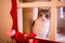 cute white and gray cat looking through small decorated window