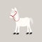 Cute white Horse - vector illustration cartoon style