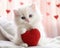 cute white kitten holding a red heart.