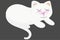 Cute white kitten lies stretched out its legs and sleeps, vector illustration in flat style