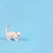 Cute white kitten says meow on a blue background with copy space, studio photography