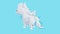 Cute white Pegasus with wings on a blue background. Abstract loop animation