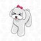 Cute white puppy with a pink bow on a leafy background