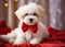 Cute white puppy with a red bow tie sits on a red blanket on a blurred background. Birthday surprise.