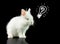 Cute white rabbit against a black background idea icon