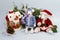 Cute white rats in a suit of Santa Claus and Snow Maiden near a branch of a thuja and a snow-covered house on a blue background