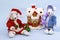 Cute white rats in a suit of Santa Claus and Snow Maiden near a snow-covered house on a blue background with ribbons. Symbol of