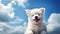 Cute white Samoyed puppy sitting on blue sky background