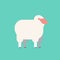 Cute white sheep wool farm domestic animals breeding concept flat