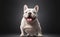 A cute white smiling French bulldog, Generative AI Illustration