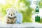 Cute white teddy bear sitting on white wooden floor with blue luggage with mask, Alcohol and check page on right side with green