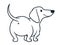 Cute wiener sausage dog  cartoon illustration isolated on white. Simple black and white line drawing of friendly dachshund