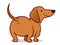 Cute wiener sausage dog  cartoon illustration isolated on white. Simple  drawing of friendly tan dachshund puppy, rear view