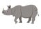 Cute wild animal, gray walking rhinoceros icon