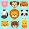 Cute wild animal heads set including lion, tiger, pig, bear, lioness, panda, monkey, zebra, and giraffe. Safari jungle animals vec