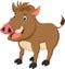 Cute wild boar cartoon