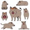 Cute wild boar doodle drawing set